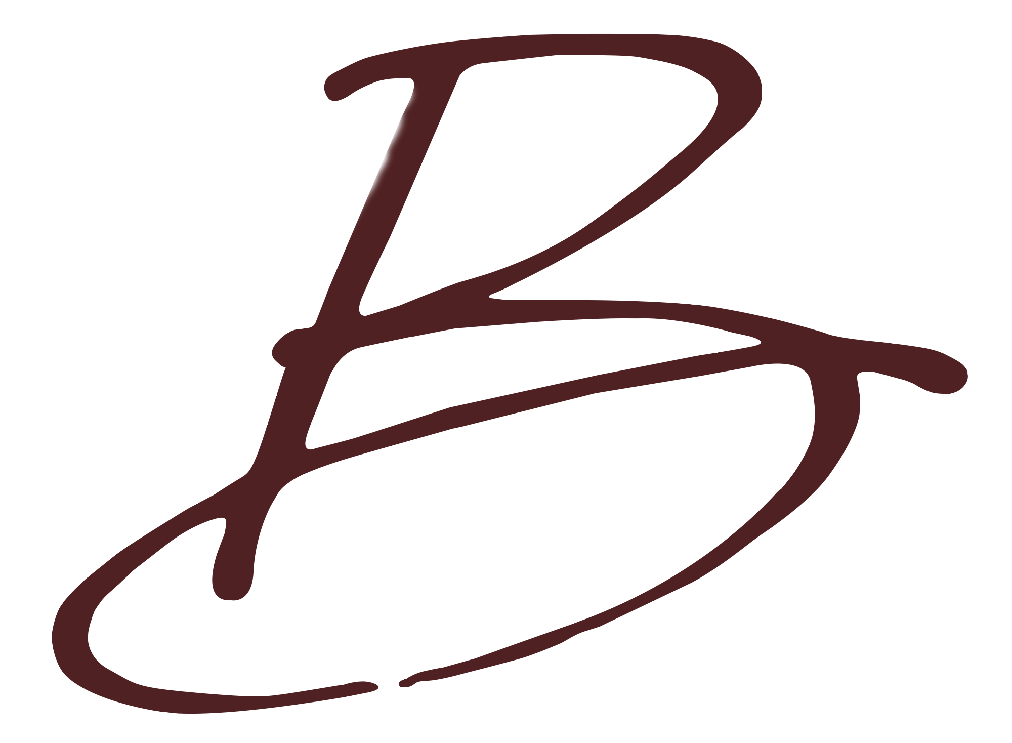 Blyss Chiropractic and Acupuncture logo